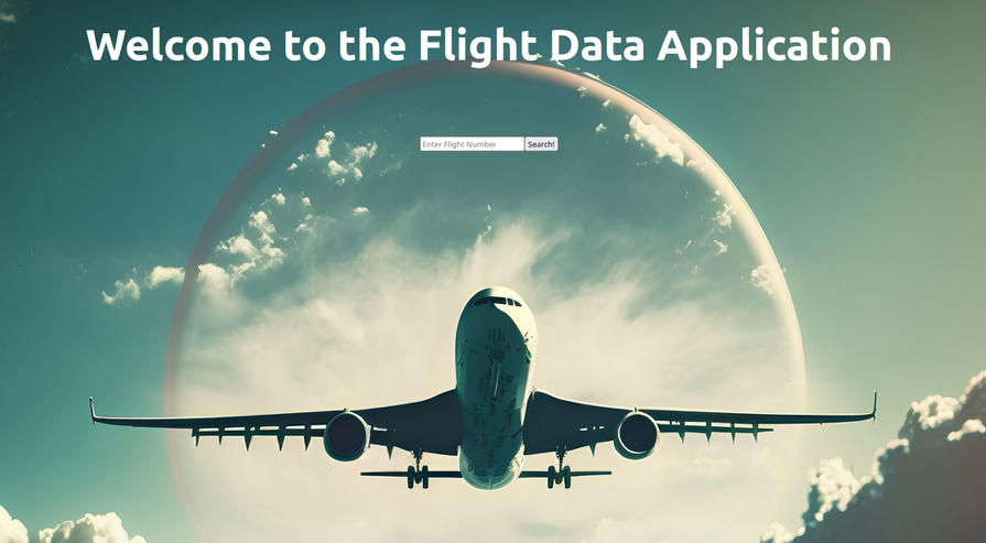 Flight Data App Image